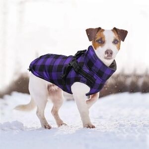 2 N 1 Harness & Winter Coat NW